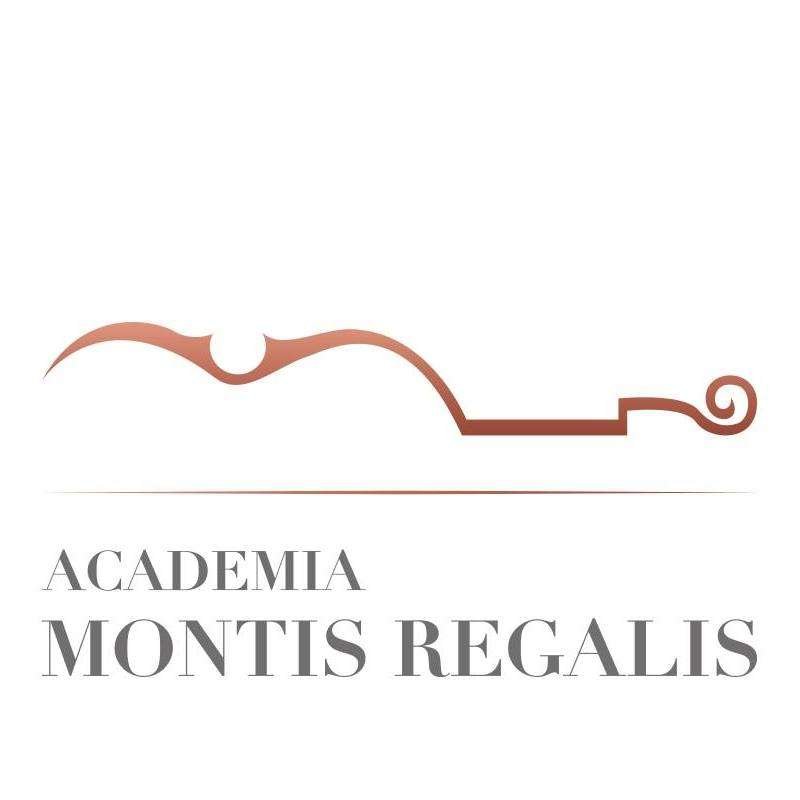 logo-academia-montis-regalis